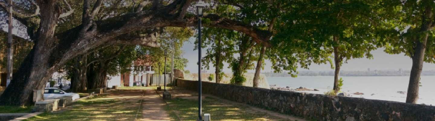 Galle