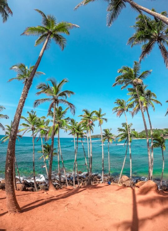 Mirissa Mirissa