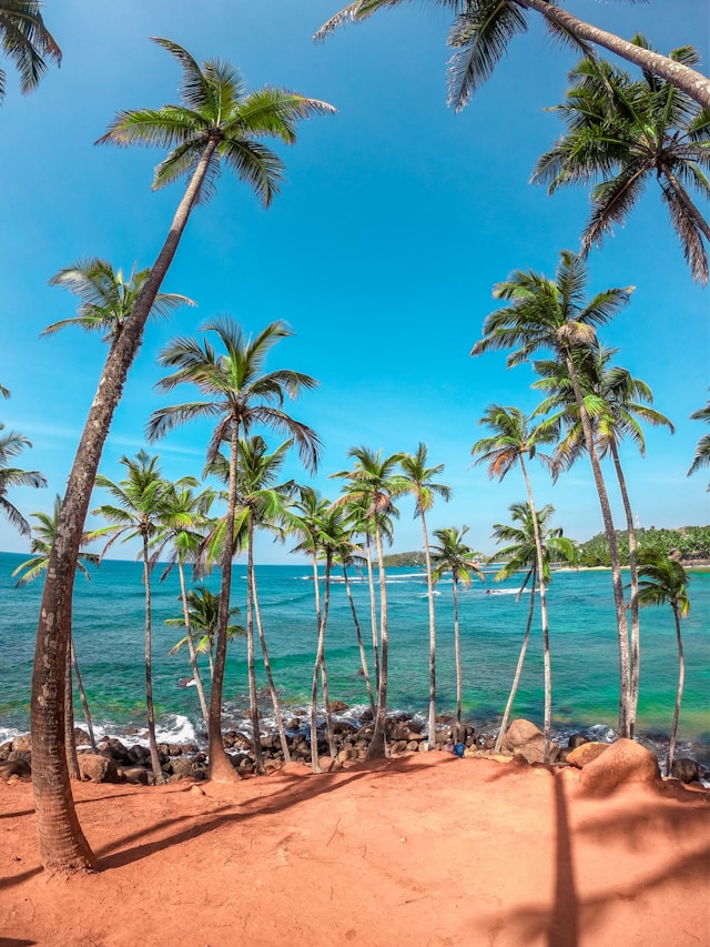 Mirissa, Sri Lanka