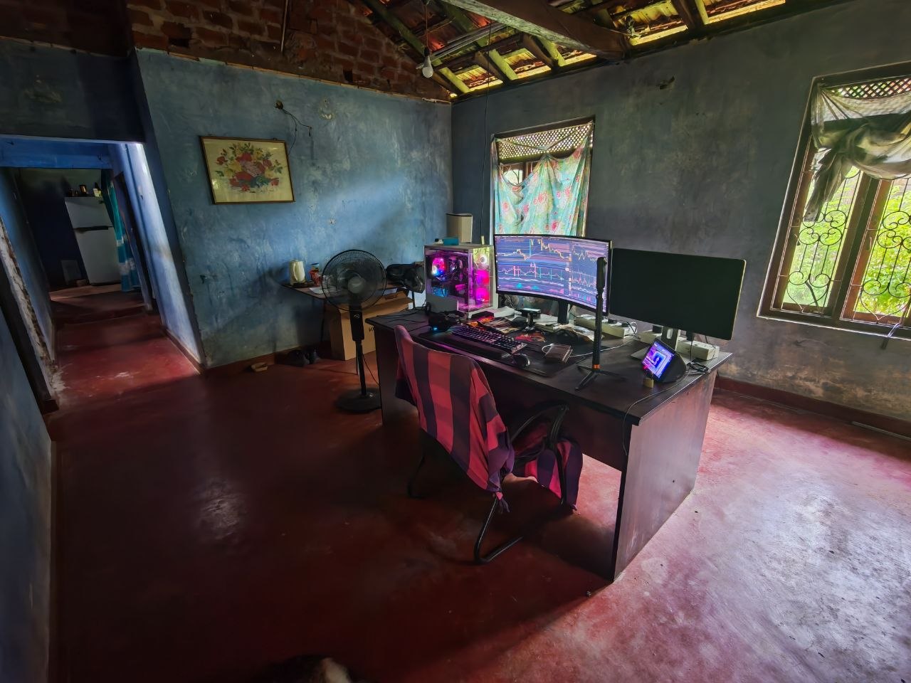 A trading desk in a small home: a curved monitor showing charts, a glowing PC and a second screen on a wooden desk, in a room with blue walls and a red floor