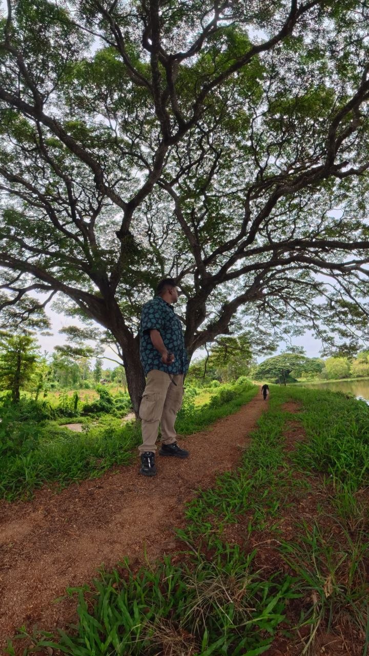 Chamara, founder of MyCity.lk, standing beneath a large rain tree in rural Sri Lanka